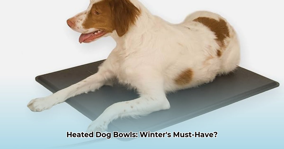 heated-dog-bowl-tractor-supply